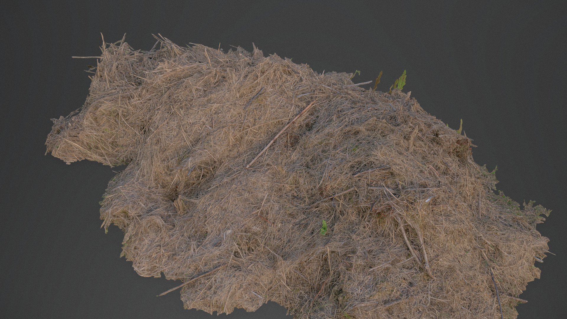 Wide pile heap stack of dry grass hay in meadow with some leaves and weed

Photogrammetry scan 140 x 36MP, 3x8K texture - Wide hay pile - Buy Royalty Free 3D model by matousekfoto 3d model