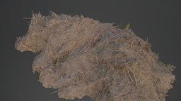 Wide hay pile field, terrain, archviz, garden, 3d-scan, prop, medieval, photorealistic, country, dirt, hay, waste, vegetation, rural, farm, props, 3d-scanning, compost, dry, agriculture, authentic, gardening, countryside, medievalfantasyassets, photogrammetry, scan, village, garss