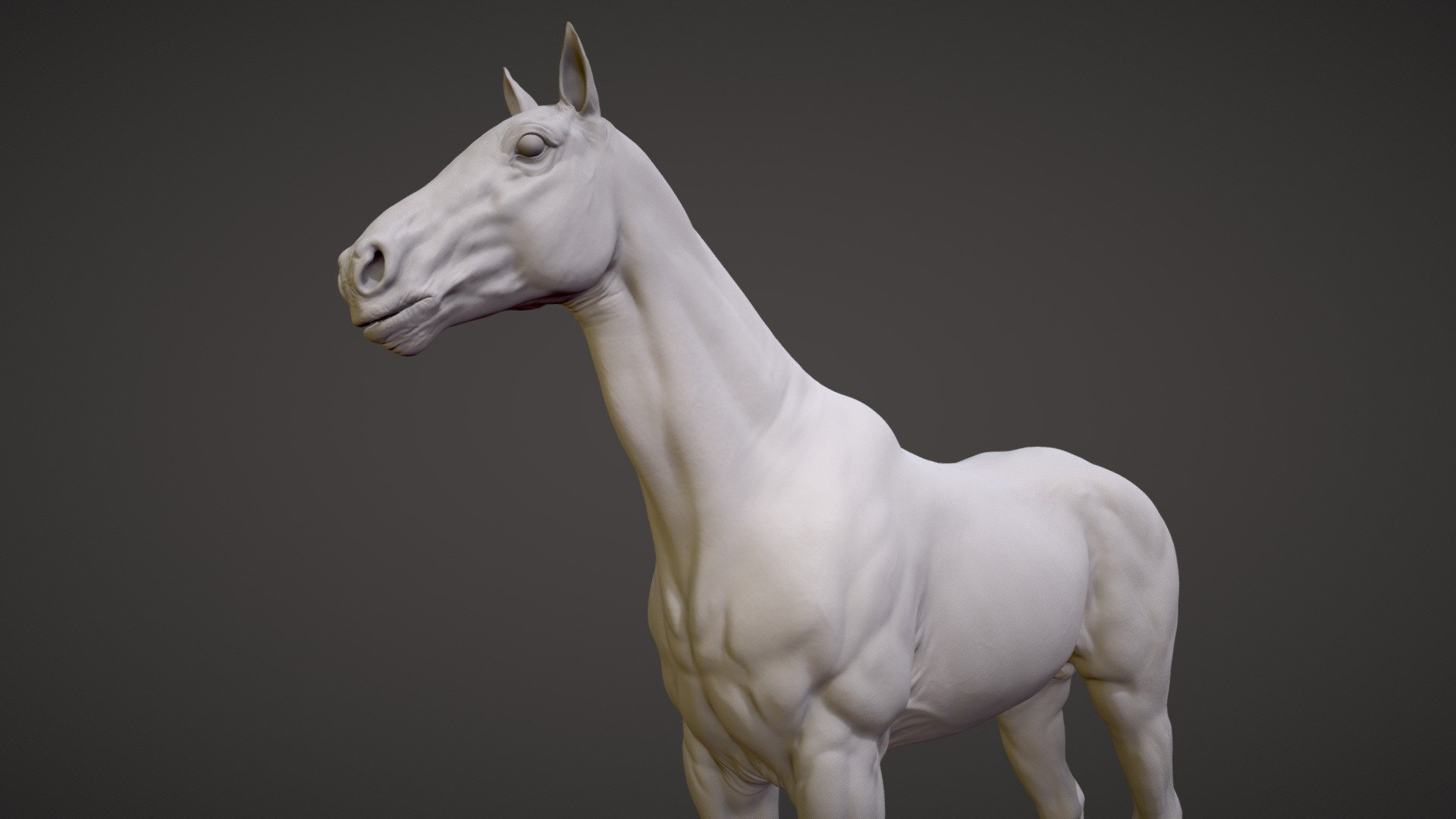 Realistic Horse 3D model, high resolution. Model has clean topology, contains only quads.

Zbrush ZTL/ZPR  files( Zbrush 2018.1) included with multiple subdivision levels.  Also included decimated (5 and 1.2 milions points)  OBJ, and FBX files.


Files: Zbrush(2018.1), FBX, STL, OBJ

Number of characters: 1

Number of Subtools: 4(Body, Jaw, Tongue, Eyes)


Polypaint: No

Textures: No


SubDivs: 7(Body)

UV mapping: No

Poly-count:

Total: 28.846.000

Minimum vertices count: 5.375(Body)

Maximum vertices count: 21.937.000(Body)

Decimated model: 1.127.245
 - Realistic Horse Sculpt - Buy Royalty Free 3D model by Viverna (@Viverna_362) 3d model