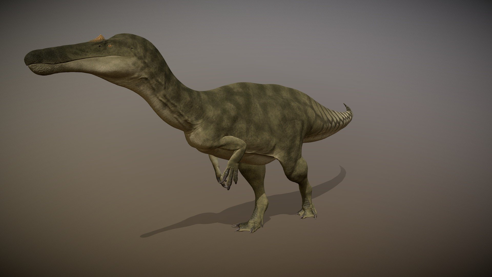 The suchomimus 3d model has been remodeled and reconstructed with a lip, crodilian large flat scales on its face, has webbed feet, and an accurate anatomy. the model is rigged and animated 3d model