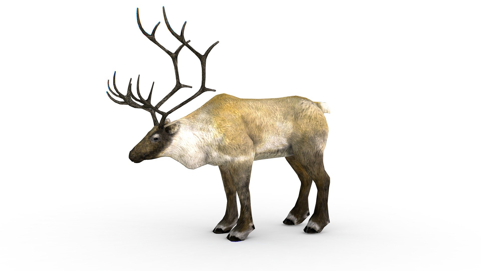 LowPoly Realistic Reindeer, 1024x1024 texture size (nirmal,difuse,specular) - LowPoly Realistic Reindeer - Buy Royalty Free 3D model by Oleg Shuldiakov (@olegshuldiakov) 3d model