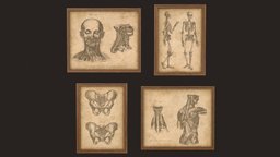 Medical Pictures victorian, frame, lab, creepy, laboratory, painting, pack, antique, vr, aaa, hospital, picture, science, old, medicine, health, pictureframe, ue4, unrealengine4, canvas, dictator, walldecor, aaa-game-model, wallpicture, amatomy, unity, lowpoly, medical, decoration, horror, gameready