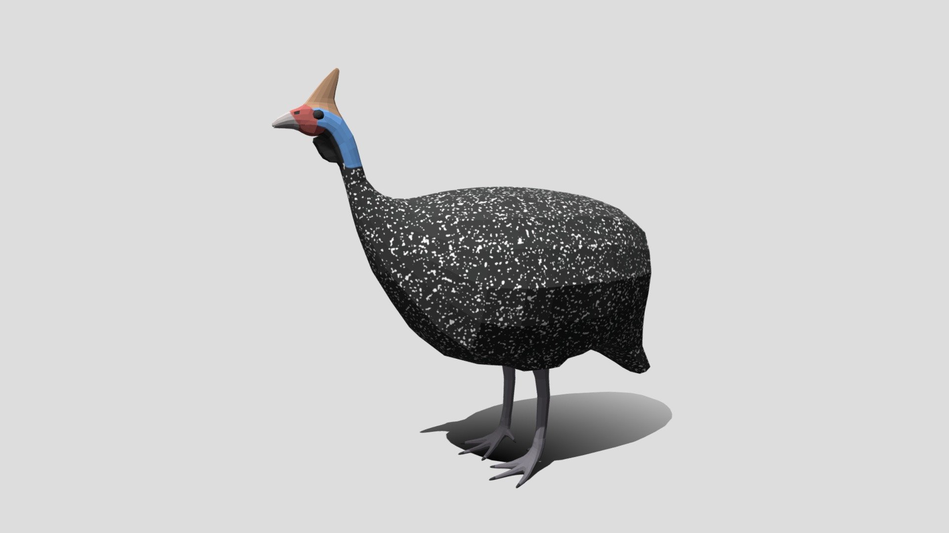Helmeted Guineafowl. The low poly bird was modeled for low-poly style renderings, background, general CG visualization presented as one mesh with quads/tris.

Verts : 1.530 Faces : 1.520

Hand painted 2048x2048 diffuse texture is included, the 3d model is UV unwraped.

The original file was created in blender. You will receive a 3DS, OBJ, FBX, blend, DAE, STL, glTF.

Warning: Depending on which software package you are using, the exchange formats (.obj, .3ds, .dae .fbx) may not match the preview images exactly. there may be some textures that have to be loaded by hand and possibly triangulated geometry.

Product is ready to render out-of-the-box. Please note that the lights, cameras, and background is only included in the .blend file. The model is clean and alone in the other provided files, centred at origin and has real-world scale 3d model
