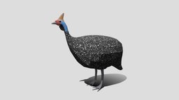Low Poly Cartoon Helmeted Guineafowl
