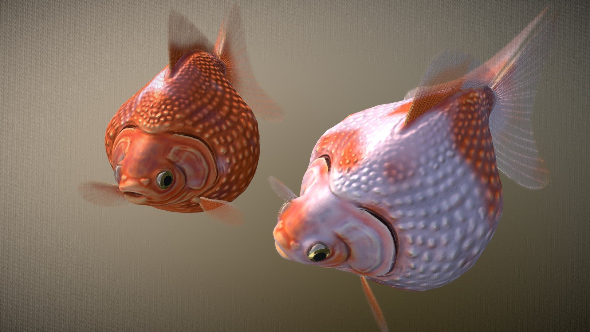 Fully Textured and rigged Pearlscale goldfish model.

This breed of goldfish is known for its protrusion of their scales forming a pearl like shape and coloring.  They come in all shapes and forms but the models here are of the Pingpong Pearl goldfish from Southeast Asia.  They are the most popular amongst the pearlscales for their unusually round shape, kinda like a puffer fish.

I usually try to pick a dynamic pose as a thumbnail for SF.  But with their extreme chubbiness, no matter how hard I tried, they weren't achieving any dynamicness.  So instead I added one more with different color and animation variation.  Now people can get two for the price of one!  (jk, they are free downloads).


Modeling, rigging, animation done in Blender
Texturing done in Substance Painter

All C&amp;C are welcome!  Let me know what you think! - Pearlscale goldfish - Download Free 3D model by somitsu 3d model