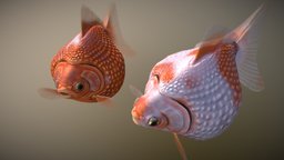 Pearlscale goldfish fish, goldfish, substance, blender, pearlscale