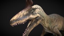 Crylophosaurus lizard, paleontology, naturalhistory, jurassicworld, cryolophosaurus, dragon, dinosaur, dino, fossildiscovery, theropoddino, earlyjurassic, prehistoricpredator, antarcticdinosaur