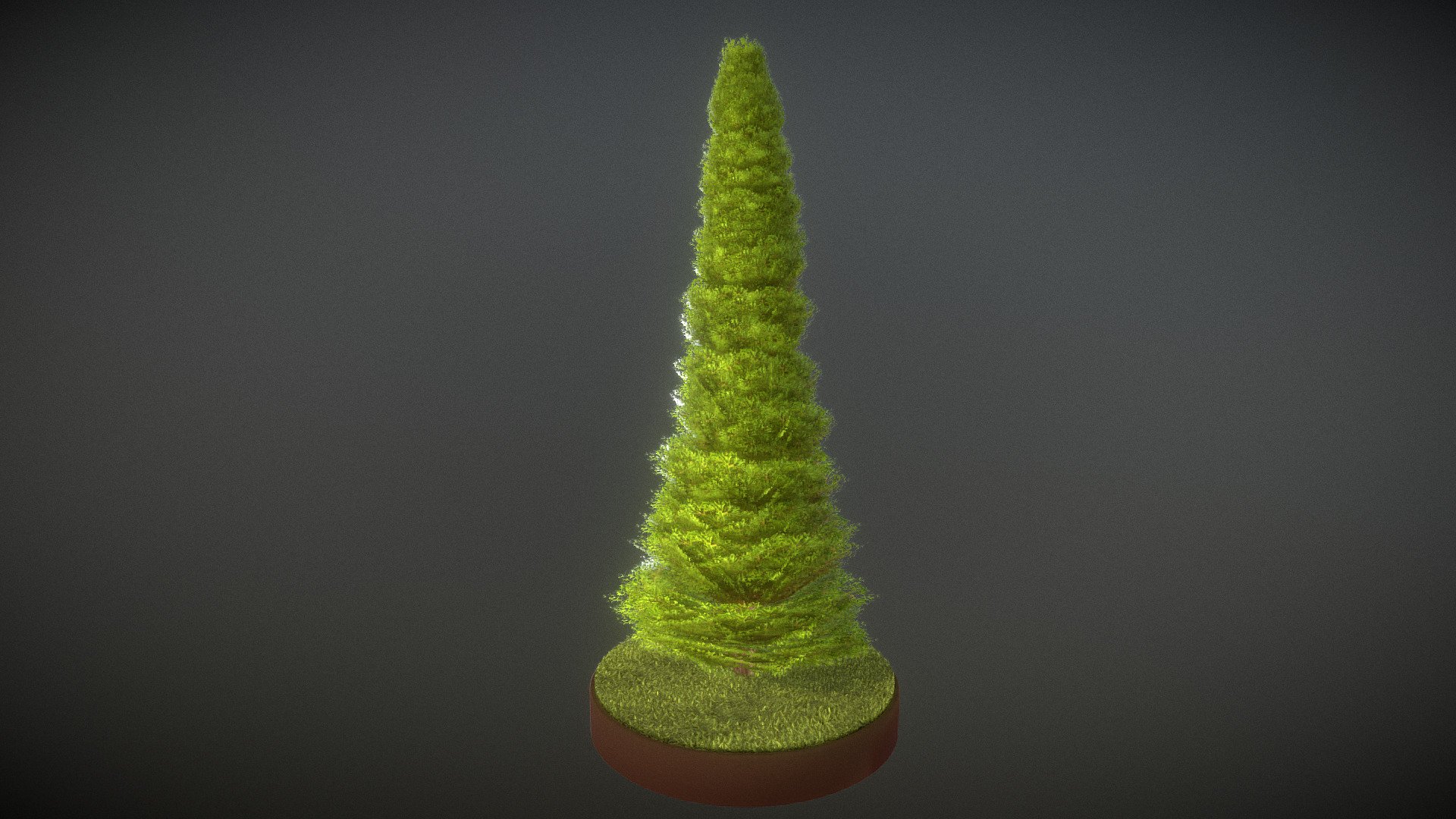 Here is a 4 meter high cypress for your garden scene or house visualization project.



Textures(4k):




Color map

Mask texture for the transparency

Normal map



Modeled and textured in blender 3d model