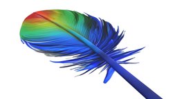 feather 3d colourful free bird, birds, feathers, feather, pajaro, colourful, multicolor, pluma, plumaje, plumas