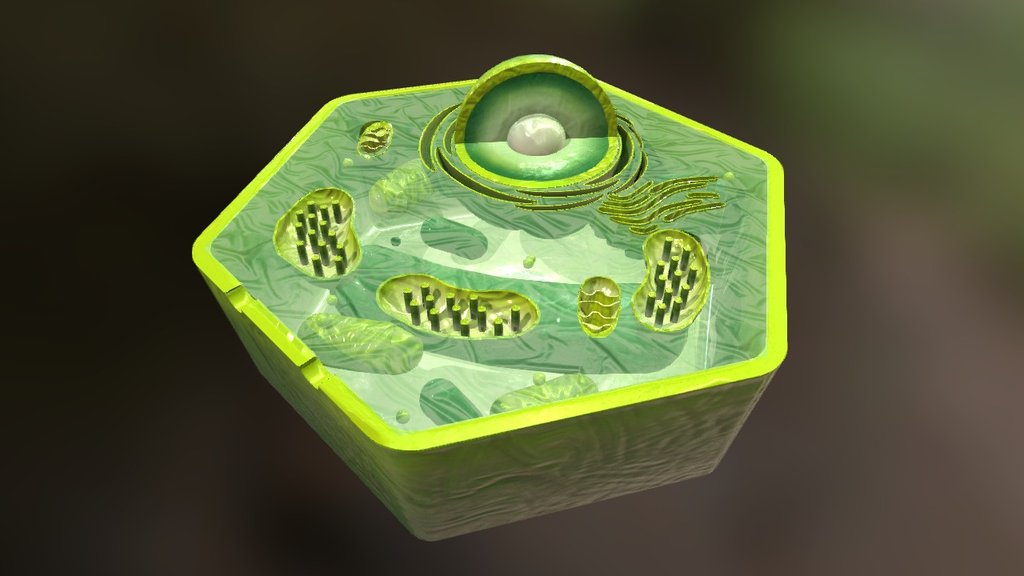 Plant Cell - 3D model by Gaia Tech (@gaiatech) 3d model