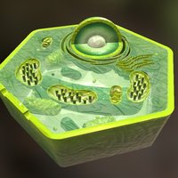 Plant Cell 