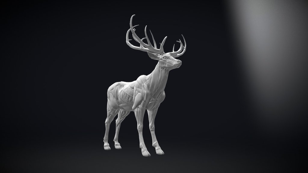 Deer - 3D model by steinchen (@petrified) 3d model