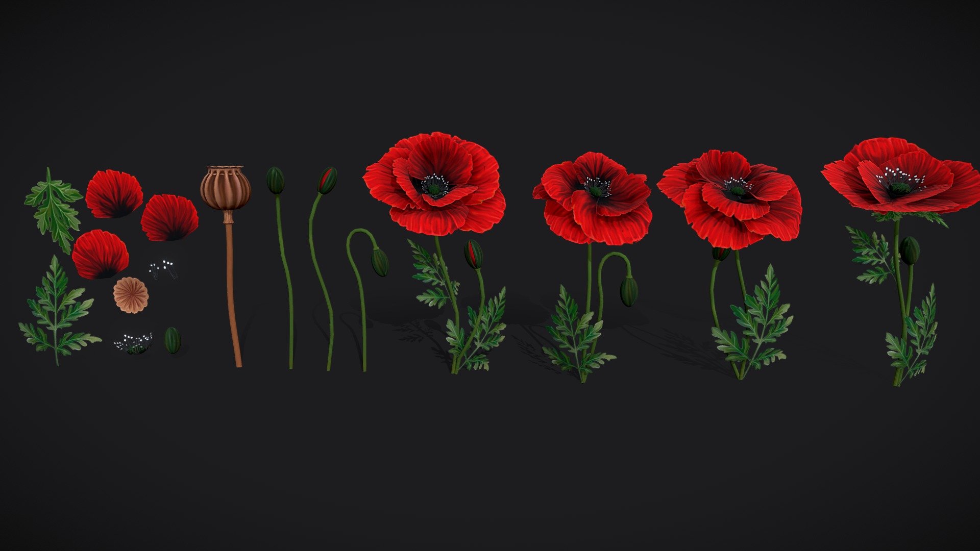 Poppies handpainted model. Overlapping UVs (texture atlas)

The archive contains following files:




.MA file (original MAYA file, version 2022)

FBX file

OBJ

Texture set:




Poppy_BaseColor (1024 * 1024 and 4096 * 4096 )

Poppy_Opacity (1024 * 1024 and 4096 * 4096 )

If you have any additional questions or any problems related to the model, kindly contact me 3d model