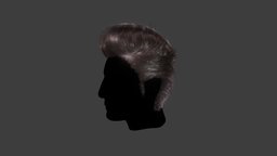 Pompadour Hairstyle hair, mesh, james, 50s, elvis, grease, dean, pompadour, travolta
