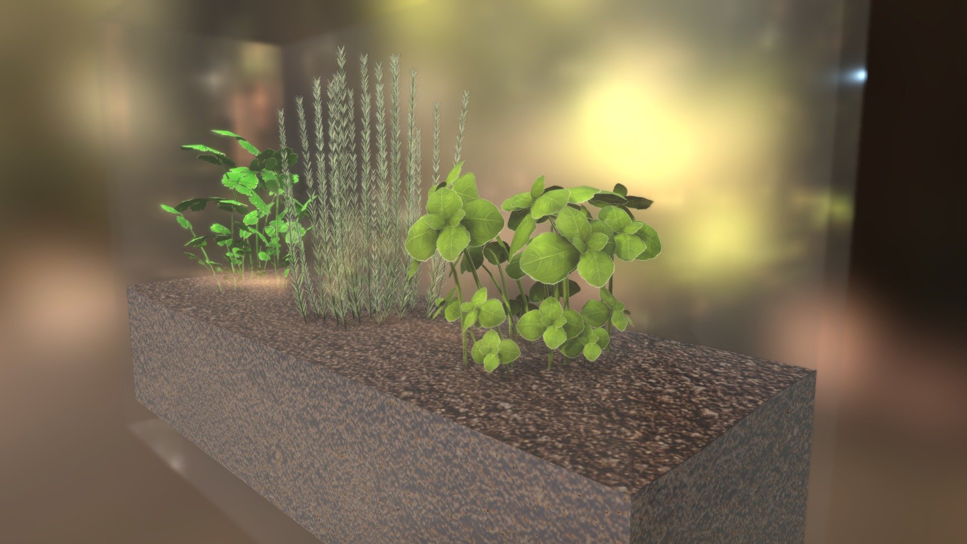 Terrarium (basil, rosemary and coriander) - Download Free 3D model by edouard.angebault 3d model