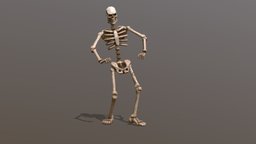 Twist Skelly Dance skeleton, dance, funny, bones, vidovicarts