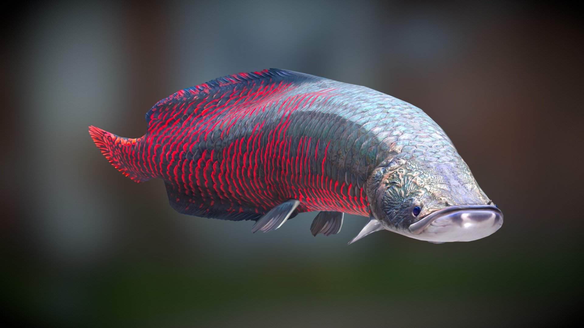 Fish Arapaima Gigas Low Poly 3Dmodel - Fish Arapaima Gigas Low Poly model - 3D model by Alex Bereschuk (@bereshuk.a) 3d model