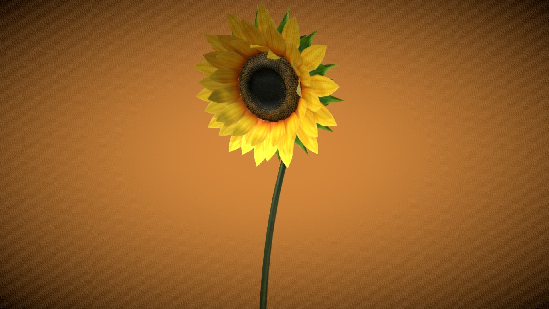 3d low-poly model
Maded in Blender 2.81
rigged and animated
particle system in Blender file - Sunflower - Buy Royalty Free 3D model by pinotoon 3d model