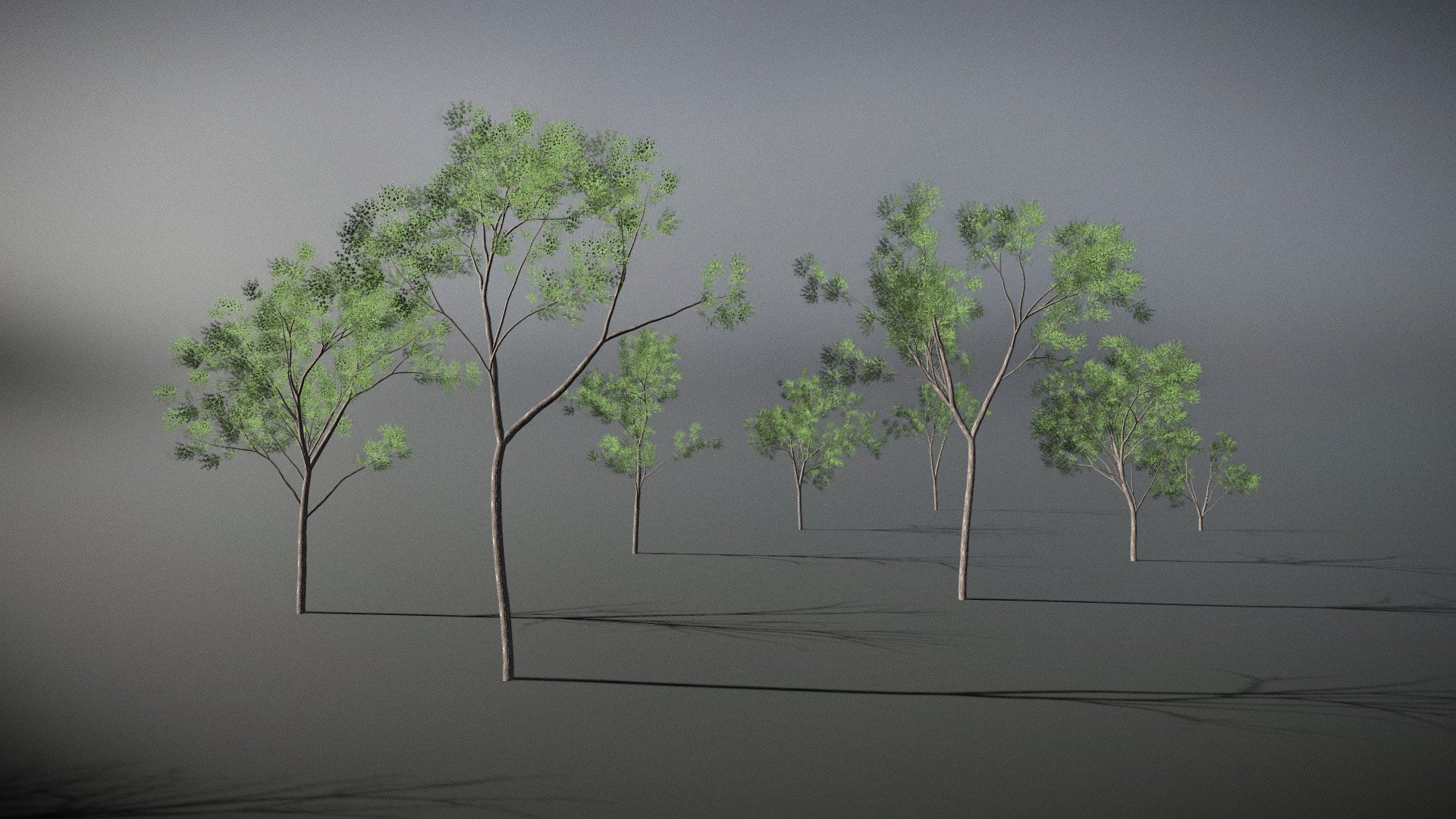 This pack contains nine unique cottonwood poplar tree variations.

Foliage:

4x4 texture atlas in 4K resolution containing a color,normal, and opacity map.

Bark:

Color, roughness, and normals maps in 2K resolution for both tree types.

Geometries:

These trees are mid poly, on average being around 10K-14K vertices per model

The additional file contains each tree in a seperate FBX file (textures not embedded), and the .obj format - Poplar Tree Pack (9 variations) - Buy Royalty Free 3D model by Jagobo 3d model