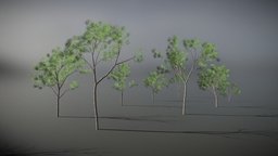 Poplar Tree Pack (9 variations)