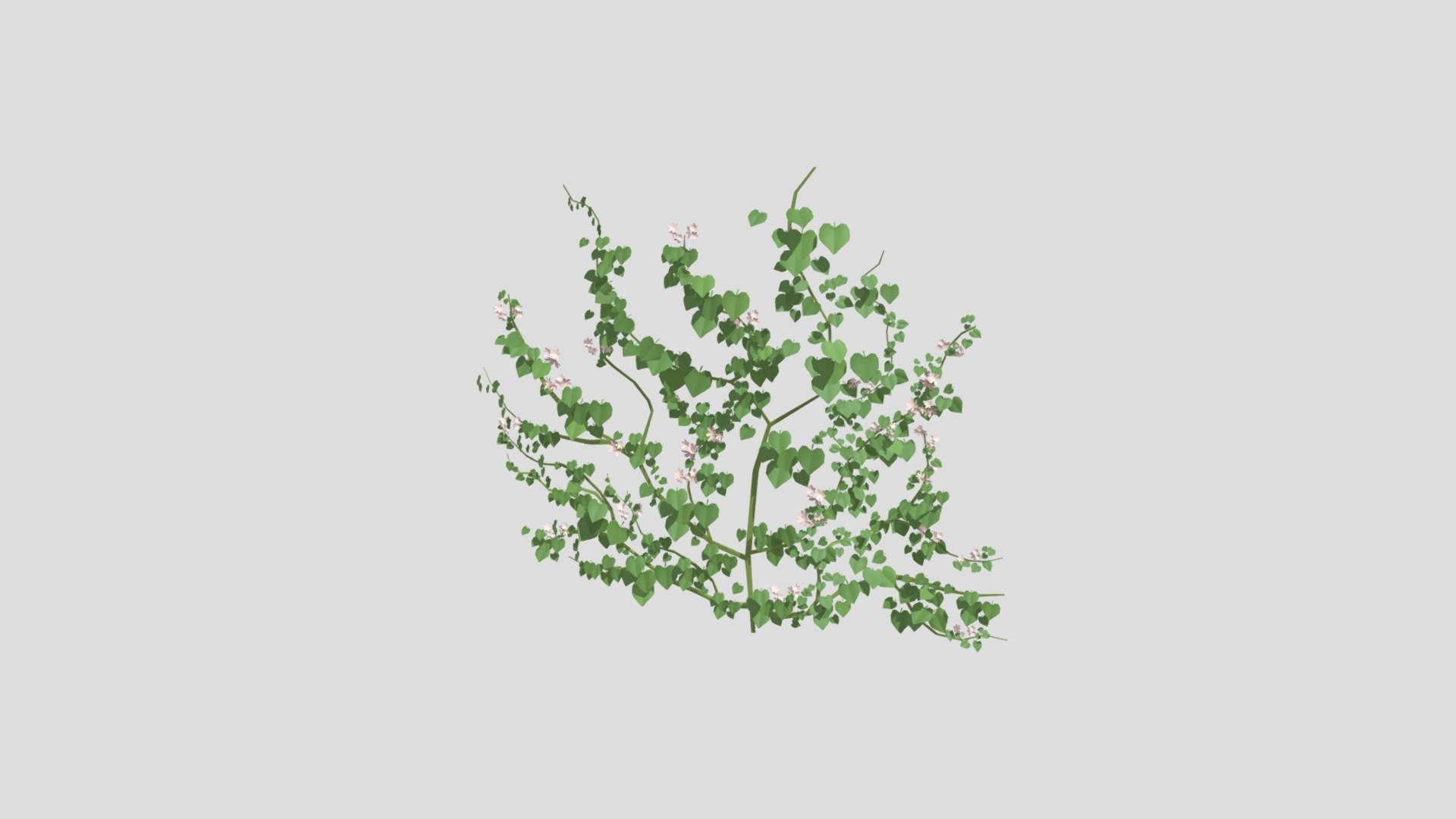 Ivy for exercise 3d model