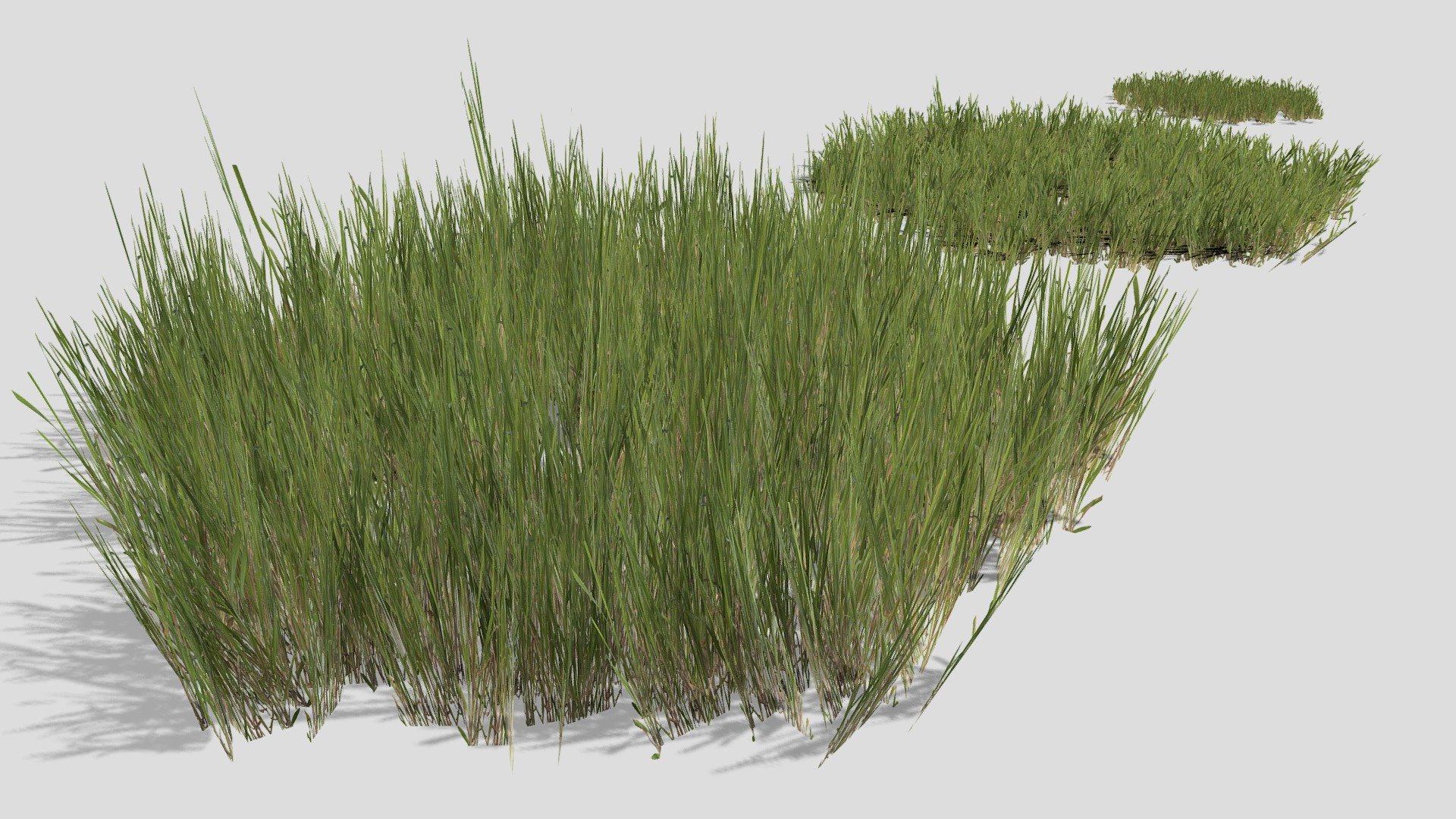 Low poly models of some grass patches.  Good for filling large areas with grass

More examples of rendered foliage can be seen here:  https://www.artstation.com/leonlabyk - Grass Patches - Buy Royalty Free 3D model by studio lab (@leonlabyk) 3d model