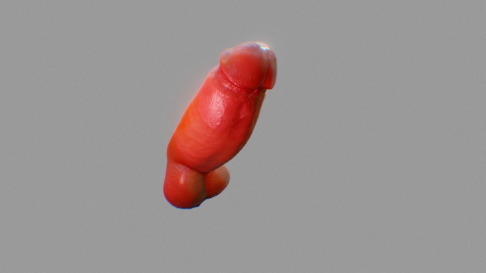 This is an educative 3d model of a penis for lerning porpuses.
It includes the names and definitions of the diferent parts of this external organ 3d model