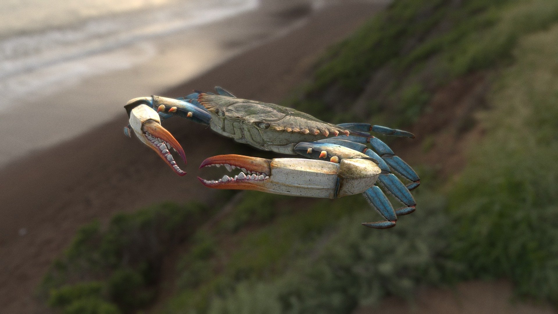 its a Blue crab   WAHOOO !!

Instagram https://www.instagram.com/julian_johnson1234/ - Blue crab - Download Free 3D model by Julian Johnson-Mortimer (@FreddyFoxFreddy) 3d model