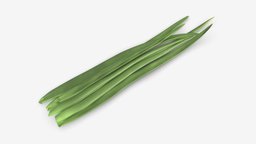 Spring onions 03 green, plant, food, raw, organic, spring, leaf, fresh, herb, nature, cooking, onion, vegetable, bunch, vegetarian, salad, gourmet, nutrition, 3d, pbr