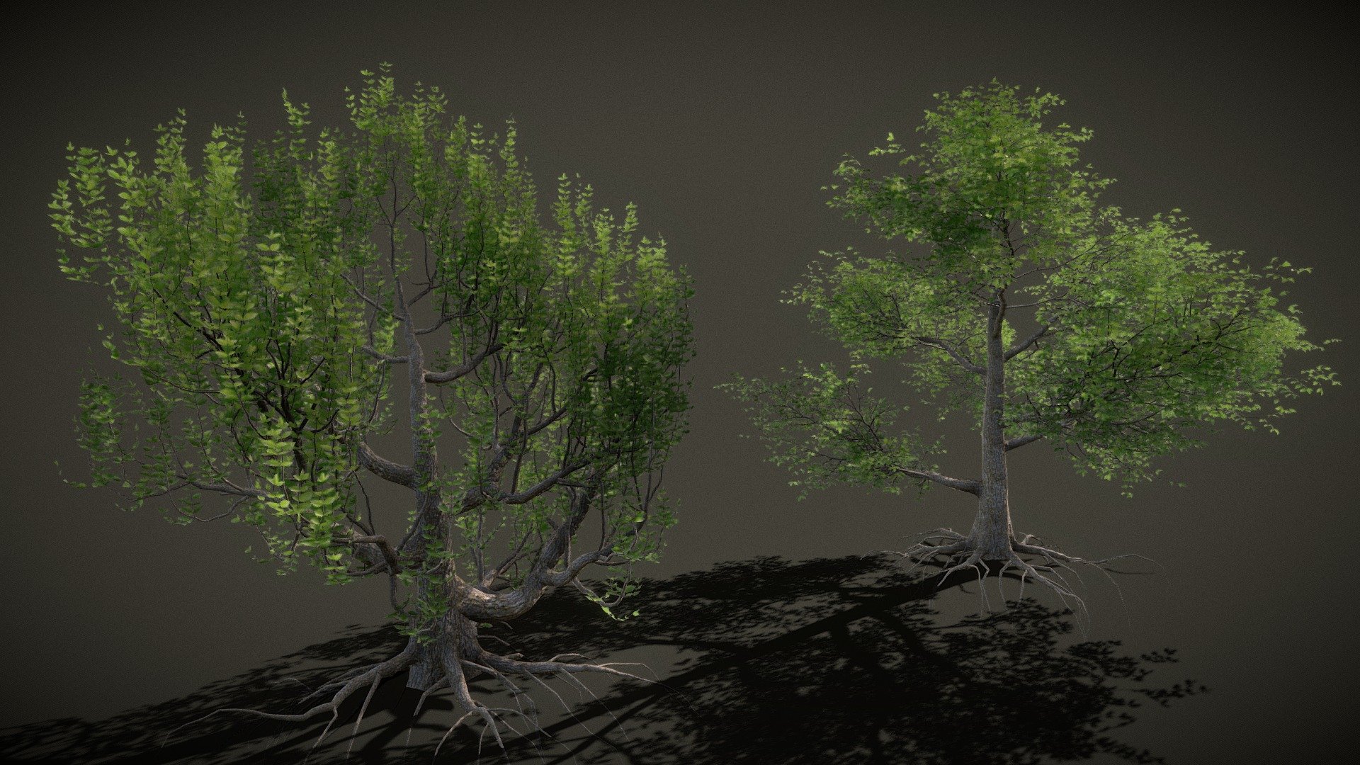 Tree Pack of 2 Free with All textures included. Have Fun! Like &amp; Follow for more free models in future.
Thank You! - Realistic Trees Pack of 2 Free - Download Free 3D model by Nicholas-3D (@Nicholas01) 3d model