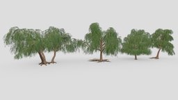 Prosopis Tree- Pack- 02 pack, collection, prosopis, 3d-prosopis, lowpoly-prosopis, 3d-prosopis-collection
