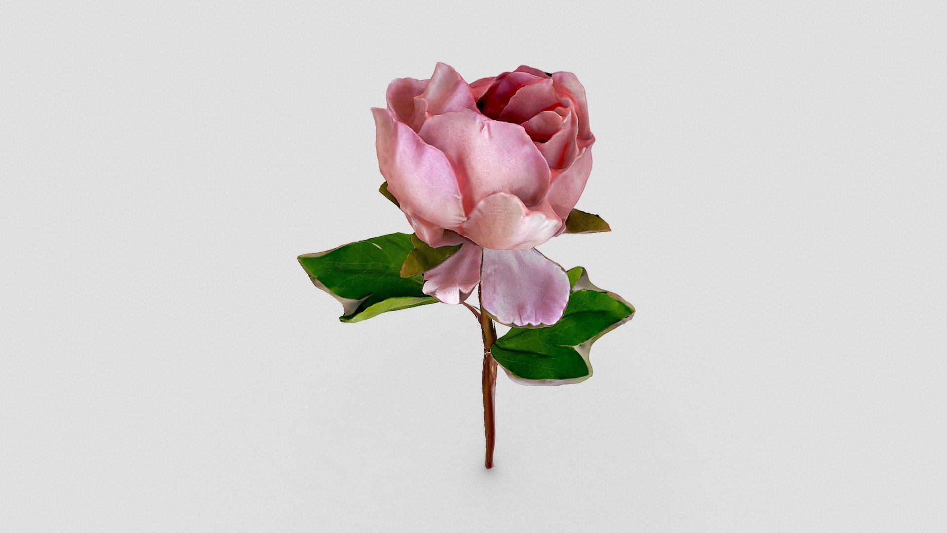 Captured with @PolycamAI

1scanaday - 235: Flower - Download Free 3D model by alexdelker 3d model