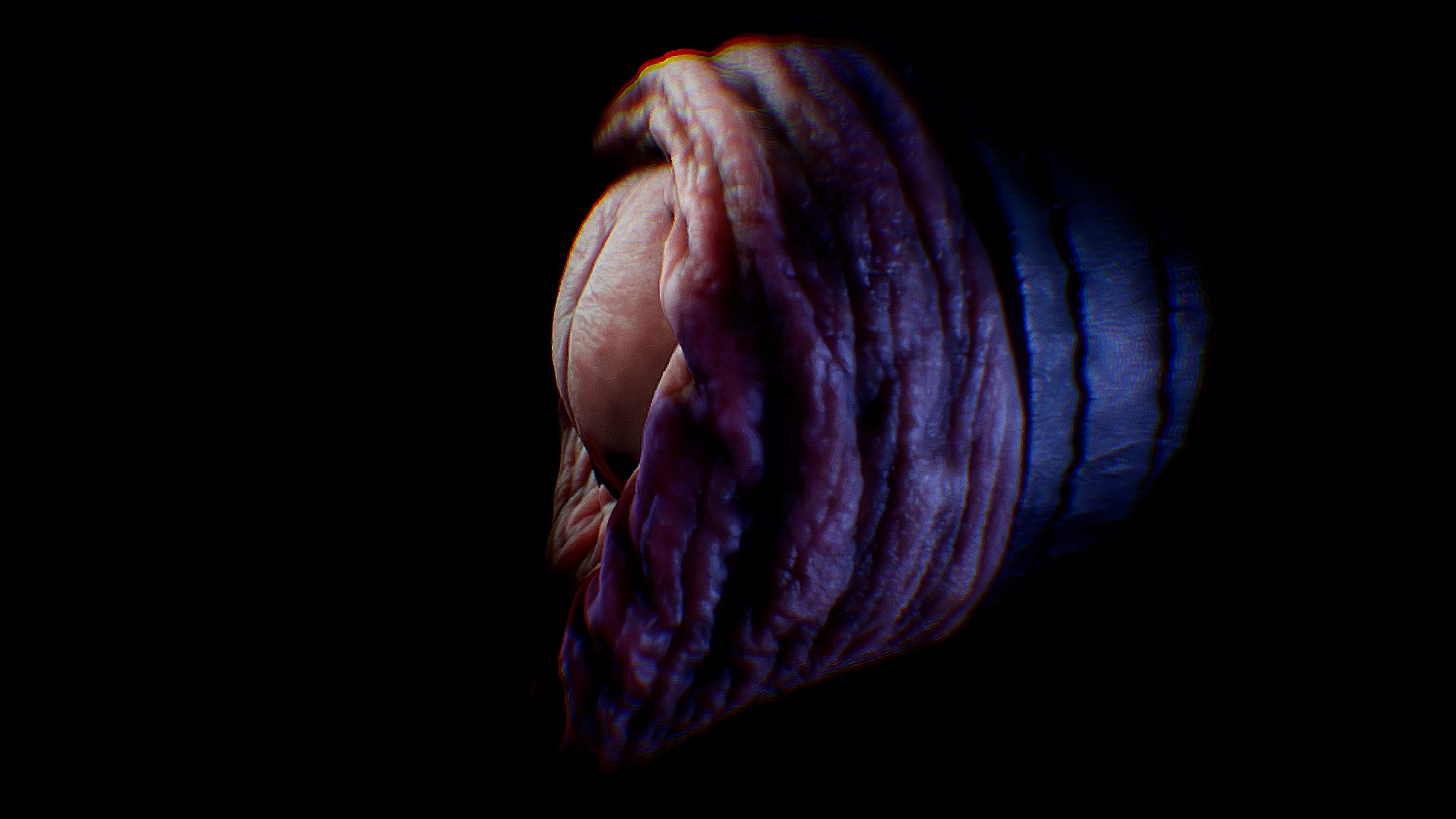Modelo escaneado del detalle de un prepucio y su glande iluminado de una forma misteriosa observado desde varios puntos de vista 3d model