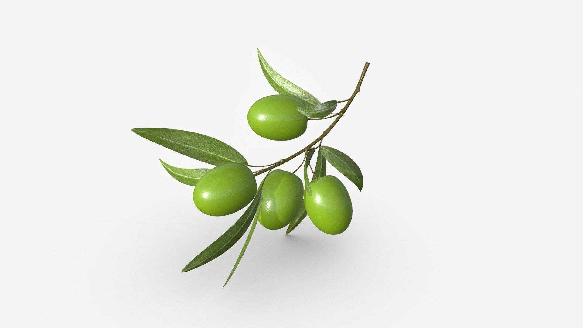 olive branch - Buy Royalty Free 3D model by HQ3DMOD (@AivisAstics) 3d model