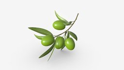 olive branch tree, green, food, fruit, olive, oval, leaf, eat, branch, whole
