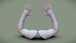 Male arms anatomy, arm, arms, hands, anatomy-human, male-hand, photogrammetry, 3dscan, hand, male-arms, male-hands, male-arm