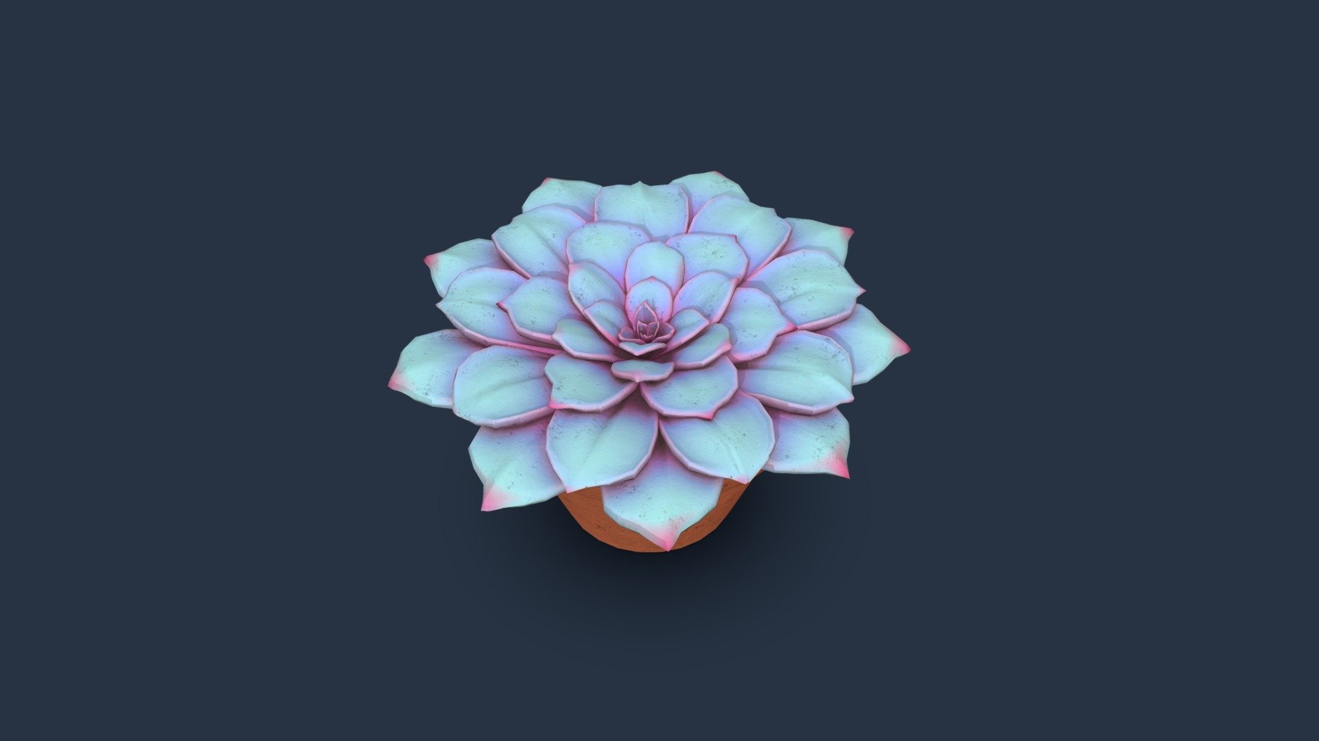 Succulent in a pot. Modelled in Maya 3d model