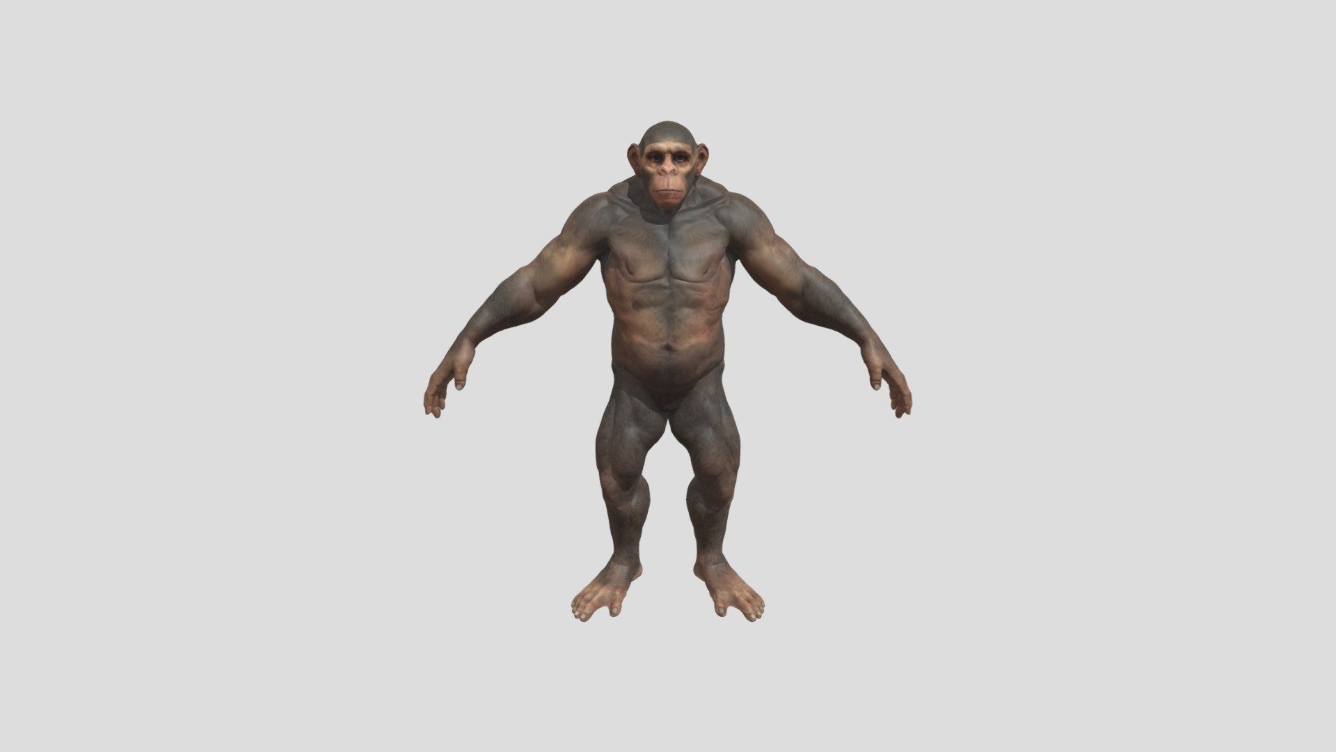 gameready rigged character - monkey ape Muscular - Download Free 3D model by edu (@edovvsky) 3d model
