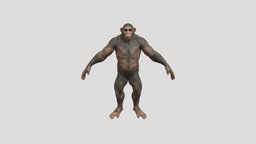 monkey ape Muscular realistic-gameasset, gamereadymodel, rigged-character