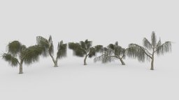 Weeping Willow Tree Pack-P3 pack, collection, weeping, willow, tree-stump, 3dtree, weepingwillow, asma3d, 3dweepingwillow, lowpolyweepingwillow, 3dweeepingwillow, 3dlowpolyweepingwillow, shidareyanagi, chui-liu, trauerweide, saucelloron, treurwilg, bydmjnwn, shjrlsfsf, 3dplants, weepingwillow-collection