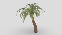 Date Tree- 03 tree, unreal, high-poly, 3d-model, date, unity
