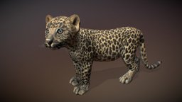 Animalia quadruped, leopard, gim, animalia, animal, animated