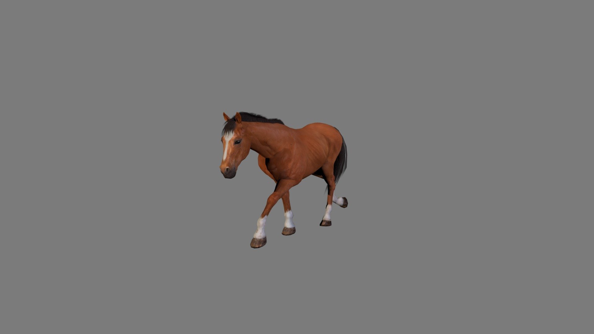 Horse very fast walk, 2 cycles - Walk - 3D model by Centroid Motion Capture (@Centroid) 3d model