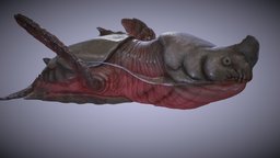 Prehistoric Sea Turtles turtle, fish, ancient, fiction, animals, ocean, science, cretaceous, game-ready, ue4, unrealengine4, animals-creatures, ocean-creatures, rigged-and-animation, maya, unity, blender, creature, animation, prehistoric, dinosaur, sea