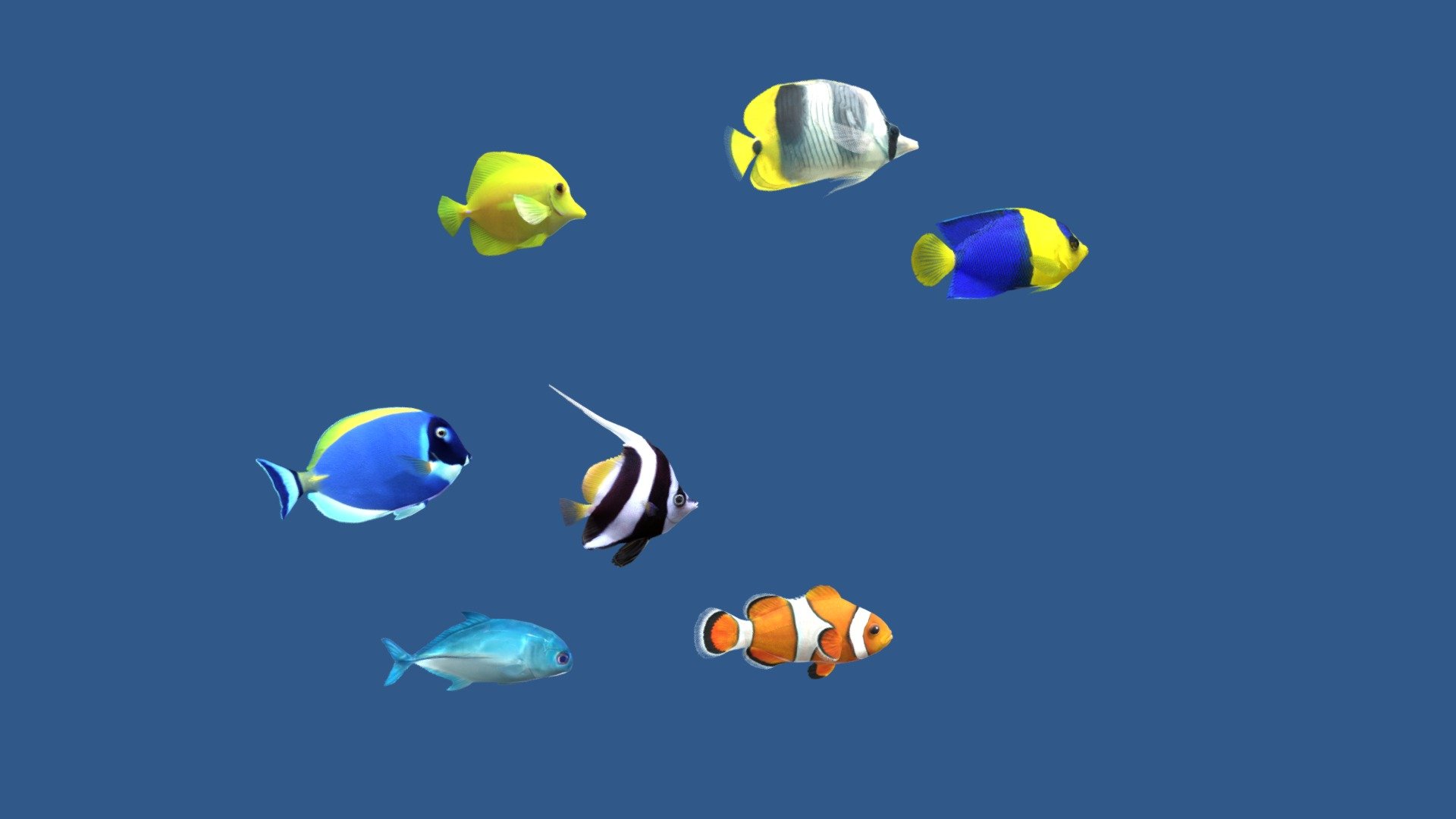 Before purchasing this model, you can free download Emperor Angelfish and try to import it. 



The pack includes 7 animated fish

Each fish has a animation loop 800 frames

1 Clownfish.................... (idle 0-800)

2 Double-Saddle fish.... (idle 0-800)

3 Powder Blue Tang ......(idle 0-800)

4 Yellow Tang .................(idle 0-800)

5 Caranx fish ..................(idle 0-800)

6 Bannerfish.................. (idle 0-800)

7 Bicolor..........................(idle 0-800)



Big Fish Pack 30

Pack2 - Tropical Fish 7:  https://skfb.ly/oJAxO



Dear Blender Users If you have any problems importing into a Blender, please email me, this problem is solved. To contact me use the link in the top right corner of my main Sketchfab page (LinkedIn or Behance) 3d model