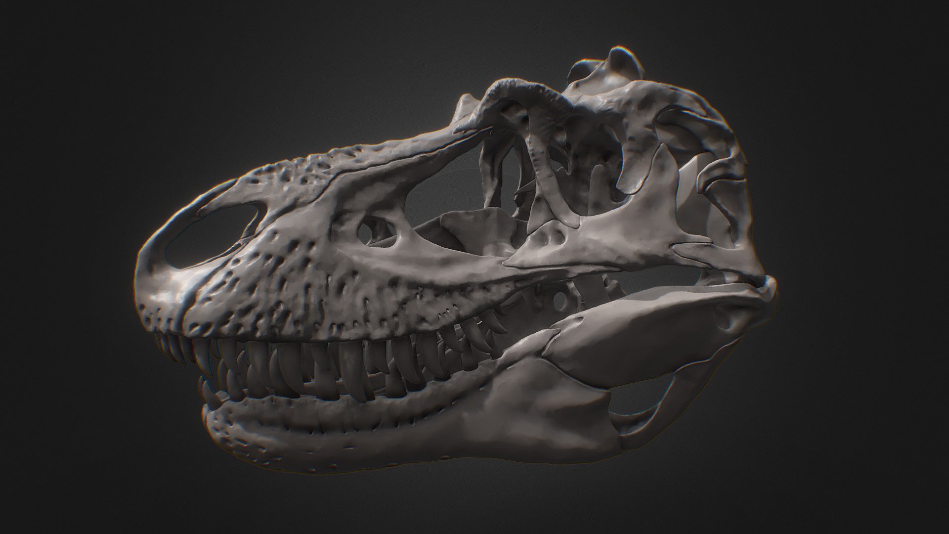 Printable version of a sculpted reconstruction of the skull of an adult Gorgosaurus libratus. Mostly based on TCMI 2001.89.1 - Gorgosaurus skull - Buy Royalty Free 3D model by Olof Moleman (@lordtrilobite) 3d model
