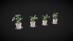 Small Plant plant, plants, assets, videogame, props, nature, digital3d, potted-plants, game, home, decoration