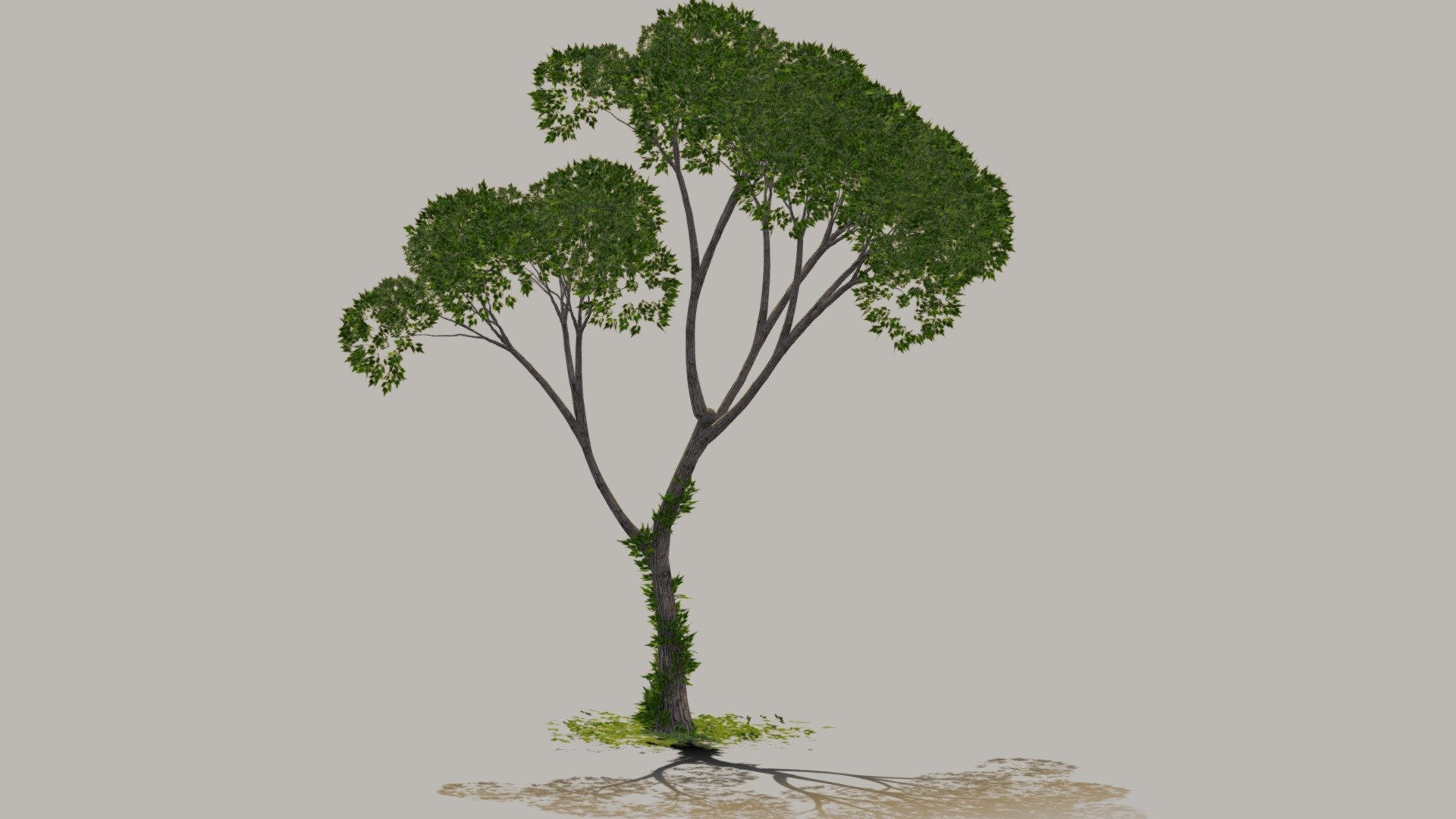 Detailed low polygon tree 3d model 3d model