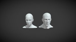 Male & Female Head Realistic Base Mesh 3D Model body, face, eye, sculpt, base, anatomy, mesh, boy, portrait, realistic, head, woman, human-head, female-head, male-head, base-mesh, character, girl, bust, man, female, male, superficial-anatomy, female-head-base-mesh, male-head-base-mesh, human-head-base-mesh