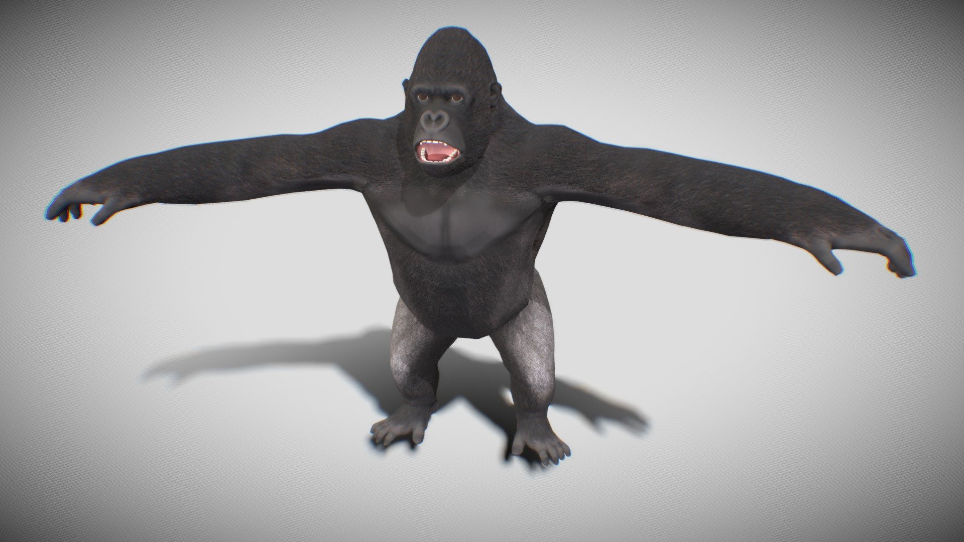 Gorilla
Character + Rigged
Textures 4096x4096 - Gorilla - Buy Royalty Free 3D model by Mixall (@Mixaills) 3d model